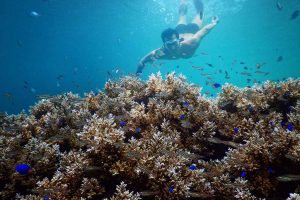 Potensi Wisata Lampung - Yopie Pangkey