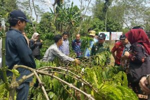Wisata Hari Kopi Internasional