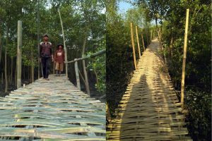 wisata hutan mangrove lampung timur - desa Sriminosari Labuhan Maringgai