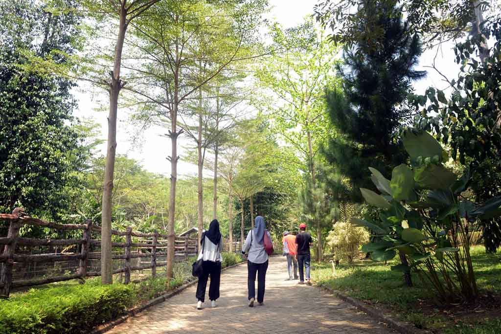 Seruseruan di Taman Wisata Lembah Hijau Lampung