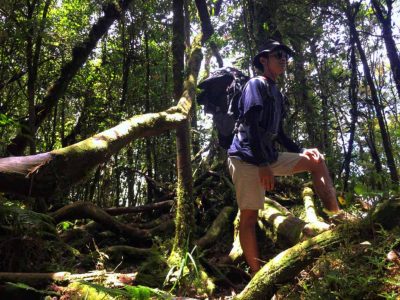 Foto Gambar Hutan Lumut Hutan Lindung Gunung Pesagi Lampung Barat - kelilinglampung.net - Farhan Pangkey - 4