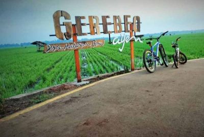 Foto Gambar Wisata Sawah GerebeQ Ayem - Desa Mataram Baru Lampung Timur - 2