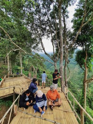 Bukit Lantana Dusun Sinar Dua Atas Desa Harapan Jaya Pesawaran - 1